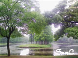 中国 チンダオ　中山公園